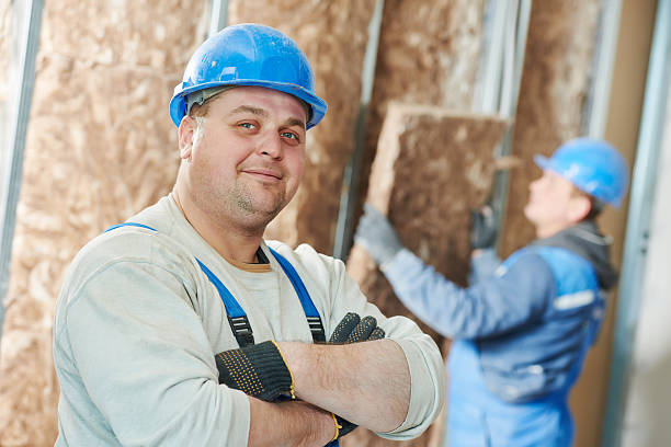 Best Eco-Friendly Insulation in Thomasville, GA
